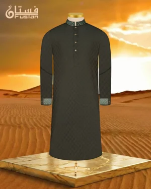 EMBROIDERED PANJABI | 9WPE4