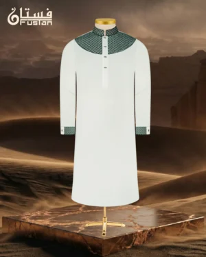 EMBROIDERED PANJABI | 8WPE20